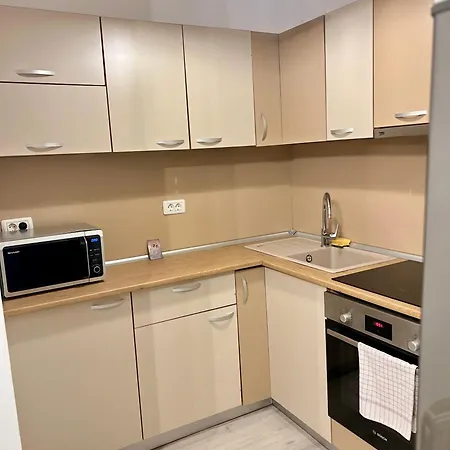 Catedrala Blue Apartment *