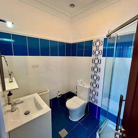 Catedrala Blue Apartment